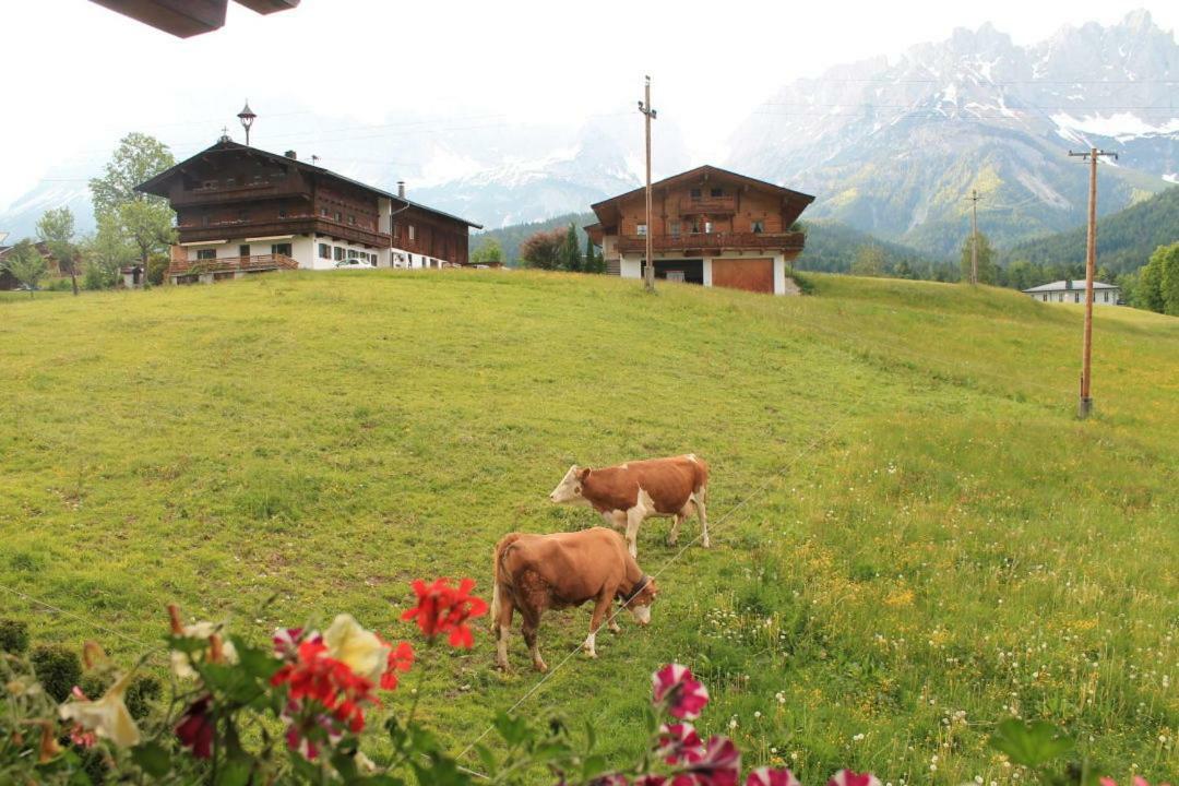 Pension Sunnberg Going am Wilden Kaiser Екстериор снимка